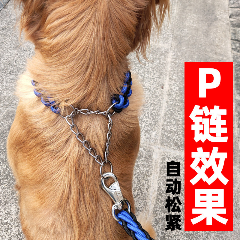 速发拉狗绳子小中大型犬项圈狗链多拉斯加金毛拉布遛阿用品