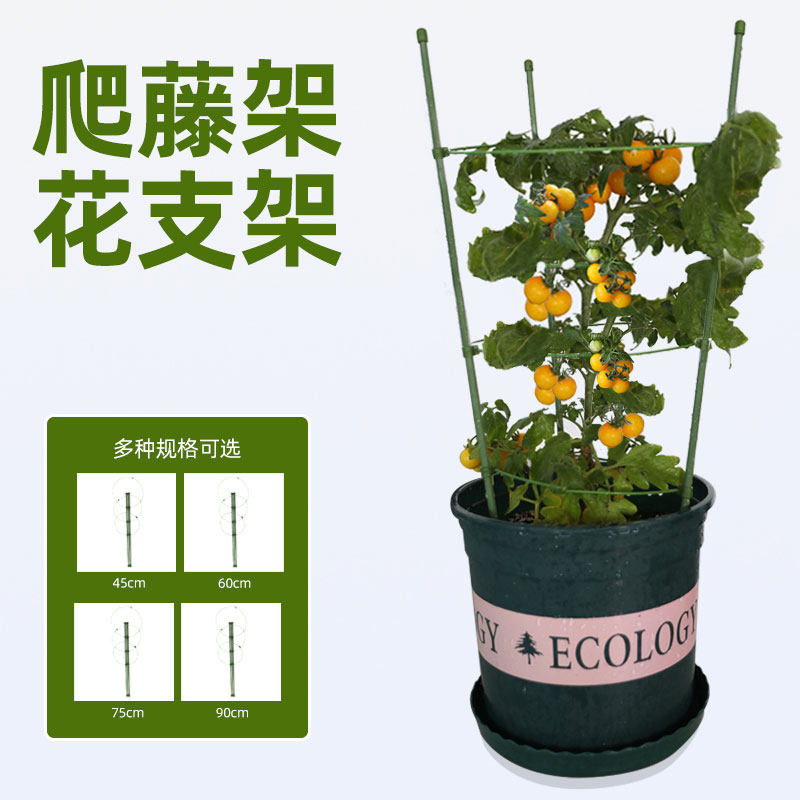 速发花架爬架月藤架架苗庭院黄瓜台西红柿子秧爬季绿萝豆角室外种