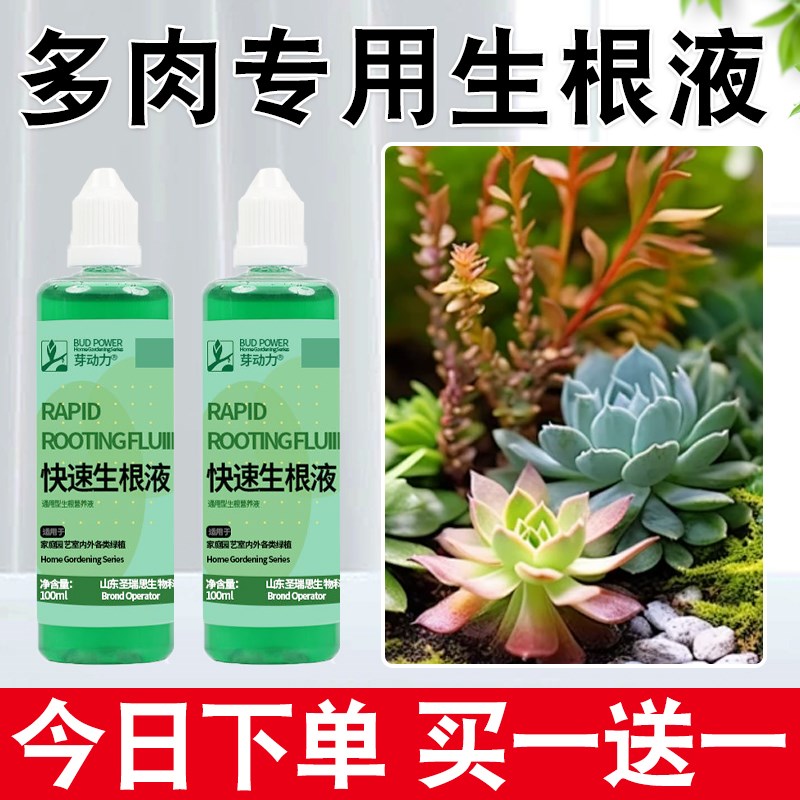 速发多肉专用生根液快速扦插移栽花卉营苗水花肥通壮型植物用养液
