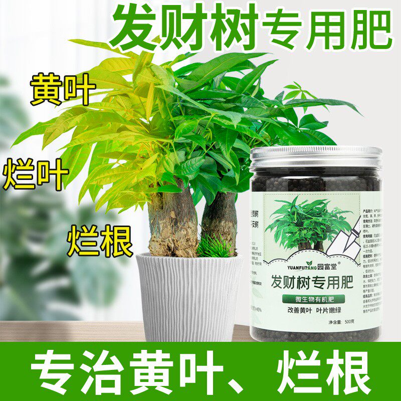 速发发财树肥料肥家用绿萝幸福平近期树安树树有机肥盆栽植物通用