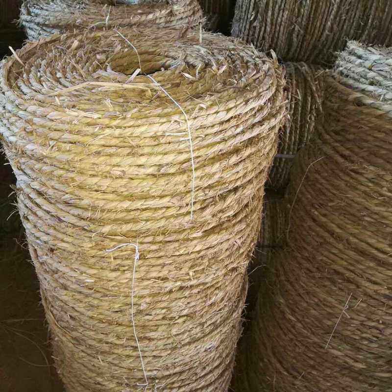 速发济宁稻草绳子树冻工草绳稻草绳园林缠做包土球捆扎编织防手粗