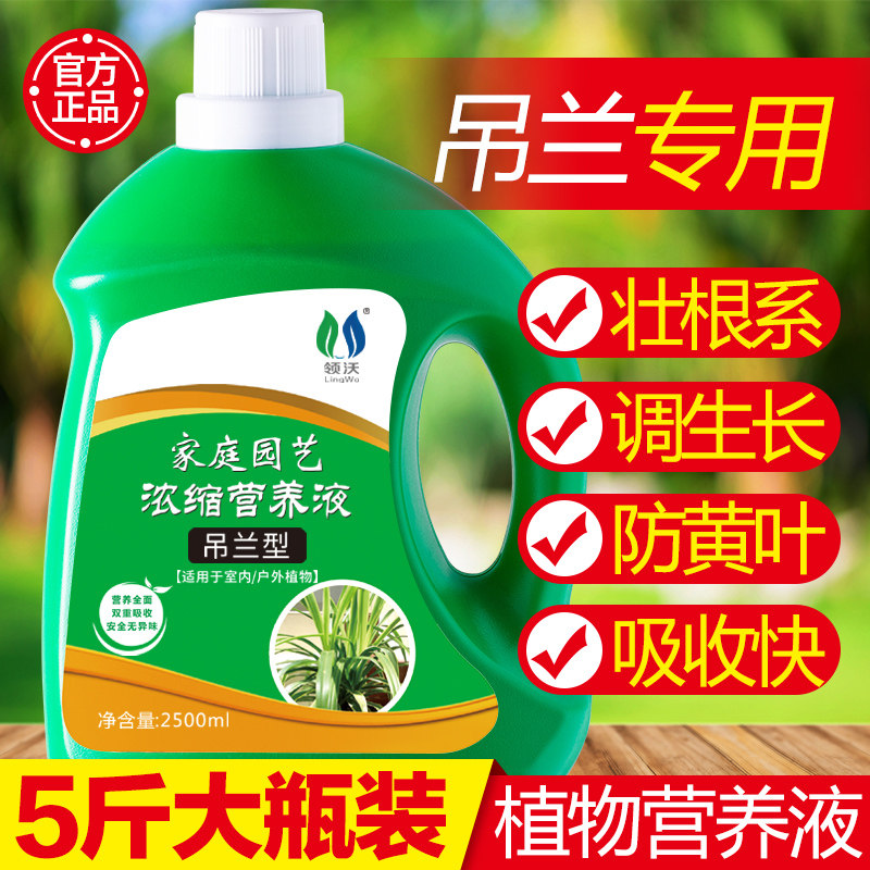 速发吊兰专用营养液盆栽通用绿箩专用肥金水吊植家用边土培兰物肥