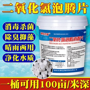 速发二氧化氯水水养殖泡腾片小龙鱼鱼塘消毒杀菌药水库净产清塘净