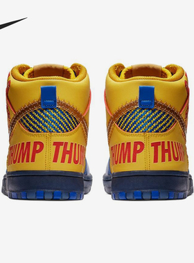 Nike/耐克正品Dunk SB男士潮流复古防滑休闲板鞋579603-740