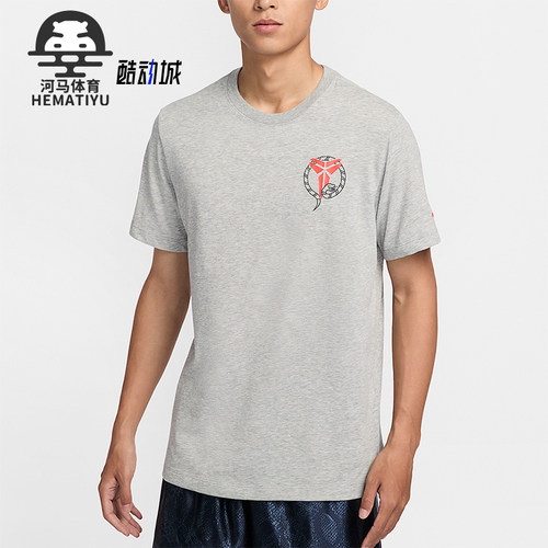 Nike/耐克正品Dri-FIT男士图案宽松耐穿休闲短袖HV5151-063