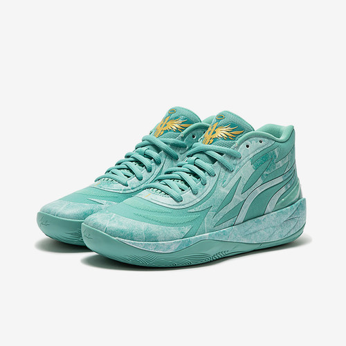Puma/彪马正品男士篮球鞋