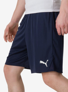 Puma/彪马正品2024夏季新款男士宽松健身轻盈短裤705752-06