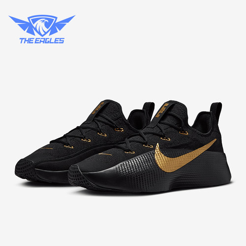 Nike/耐克正品新款男士运动健身缓震跑步训练鞋FJ6151-004