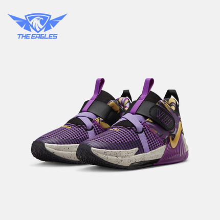 Nike/耐克正品秋季新款小童透气魔术贴训练篮球鞋FD0210-001