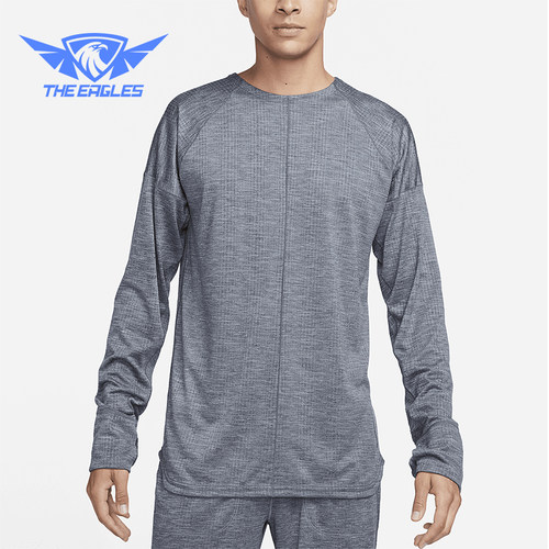Nike/耐克正品男士徽标圆领运动健身休闲经典长袖T恤FB7775-065