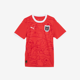 新款 当季 男士 球迷版 Puma 针织圆领球衣774010 彪马正品