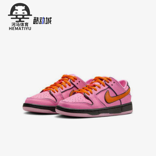 Nike/耐克正品Dunk SB 小童日常低帮潮流经典复古板鞋FZ3351-600