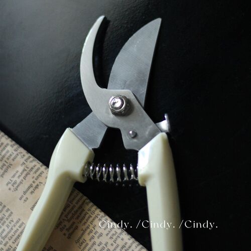 Cindy美学花艺师推荐园艺剪刀剪子修枝园林家用鲜花插花工具道具