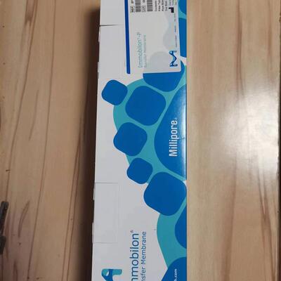 密理博IPVH00010转印膜 0.45um蛋白质转印膜 密理博PVDF转印膜