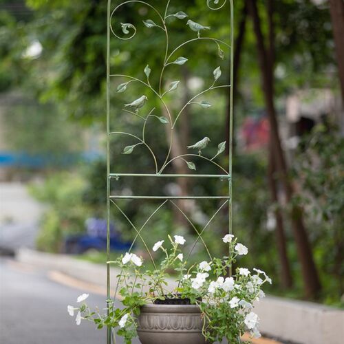 阳台花架铁艺户外月季铁线莲攀爬支架庭院花园花盆架置物架爬藤架