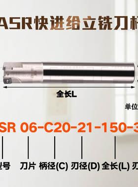 ASR06数控立铣刀杆 快速进给铣刀杆EPNW0603配套刀片开粗铣刀片