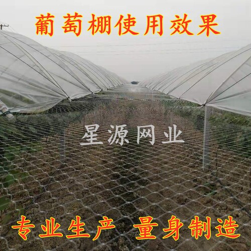 热销深度定型穿边款草莓大棚防鸟网天沟网两侧通R风口拦鸟网葡萄