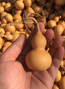 小葫芦手把件草里金包浆八宝把玩摆件挂件文玩葫芦精品小手捻