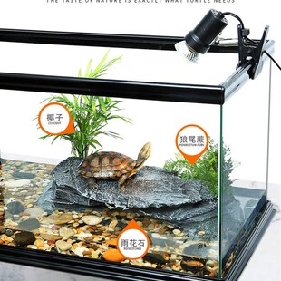 极速乌龟缸大型底部排水龟缸带晒台免换水玻璃鱼缸生态.饲养家用