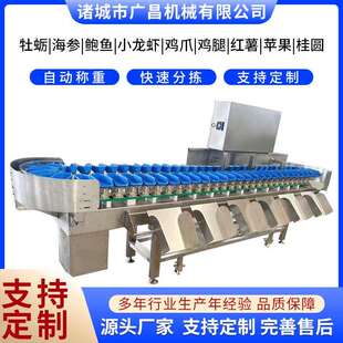 智能选果机全自动称重分拣机水果人参鸡爪咸蛋黄分级秤重量分选机