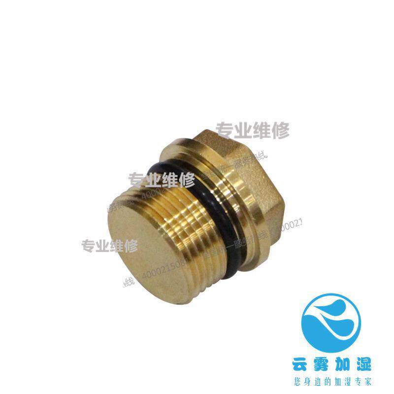 意大利AR原装进口高压泵RG15.28 RG21.25 配套G1/2外丝堵头