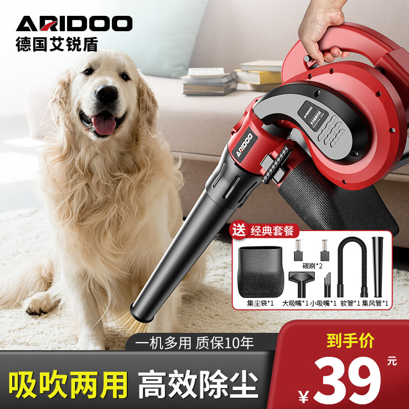 吹风机大功率除尘小型鼓风机车载清灰吹灰枪220v强力工业用吸尘器