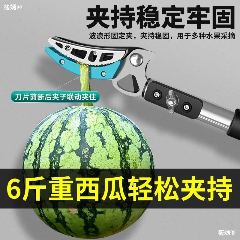 新品摘果器杨梅荔枝枇杷采果剪刀伸缩高空剪摘龙眼U神器高枝剪刀