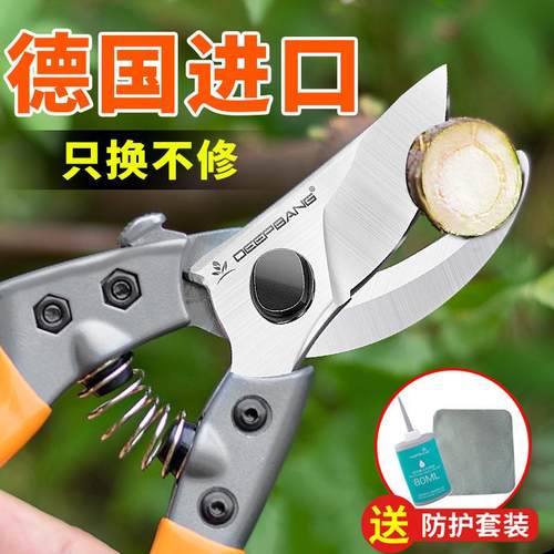 极速德国进口修枝剪剪果树园林园艺F剪刀修剪树枝剪刀粗枝剪工具