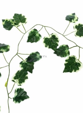 极速Reptile Box Lizards Terrarium AFrtificial Vine Decoratio