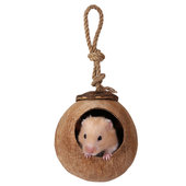 新品 仓鼠椰子壳窝松鼠花枝t蜜袋鼯金丝熊躲避屋夏天降温用品爬梯