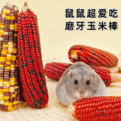新品 天主粮食金丝熊面包虫干专用品 仓鼠粮食磨牙零食玉米棒夏y季