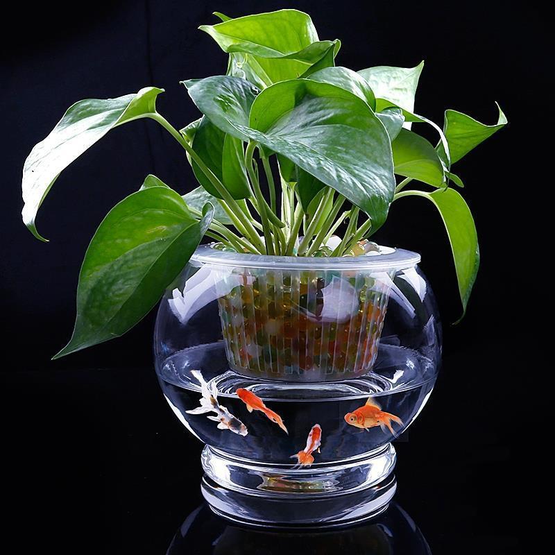 极速水培植物玻璃k瓶子透明直筒圆柱形花瓶简约绿萝花盆白掌水养