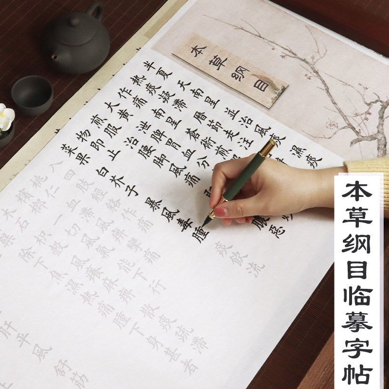 本草纲目欧体楷书临摹字帖描红长卷宣纸描红毛笔字帖小楷软D笔练