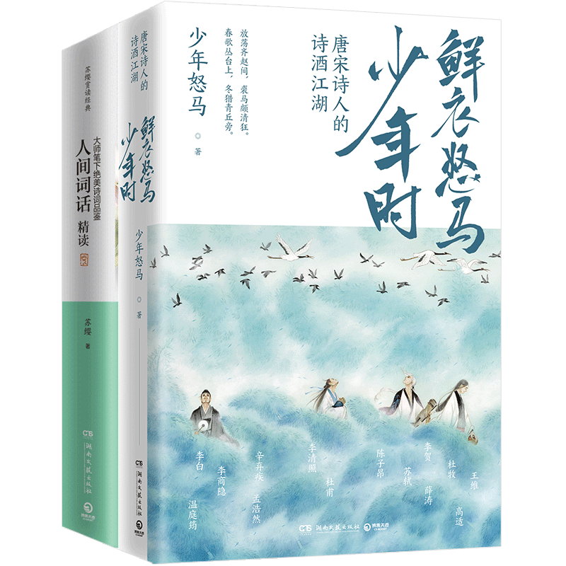 【官方正版】诗词解读套装3册 鲜衣怒马少年时1+2+人间词话精读 少年怒马 苏缨 王国维 中国现当代文学唐诗宋词古诗词博集天卷