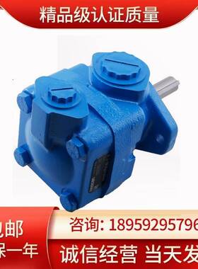 极速新义盛液压f25V-25A-1A B C D 22R机械配件泵胆铸铁叶片泵油