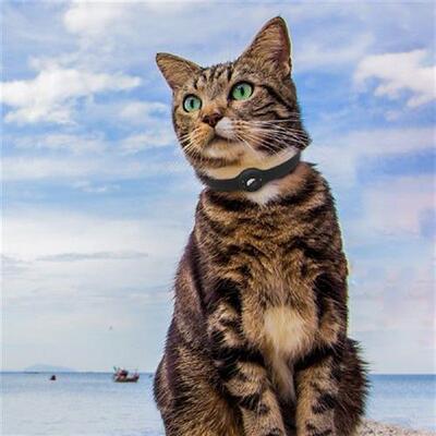 极速535mm Silicone Anti-lost Dzevice Case Adjustable Gps Fin