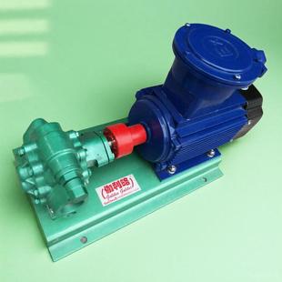 高压微型油泵不锈钢输油泵机床高压泵大排量齿轮泵