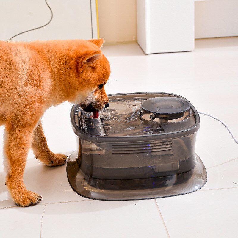 速发自动饮水机滤水循环过活饮水器水能猫咪喂水器流动喝智器