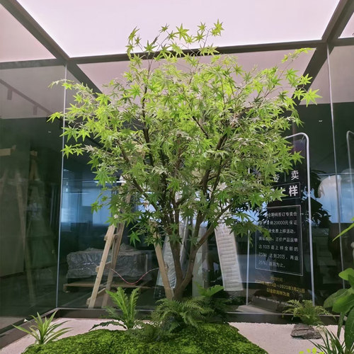 速发绿色枫树鸡爪地枯山水景观盆景假树落槭摆造室内绿植件景装饰