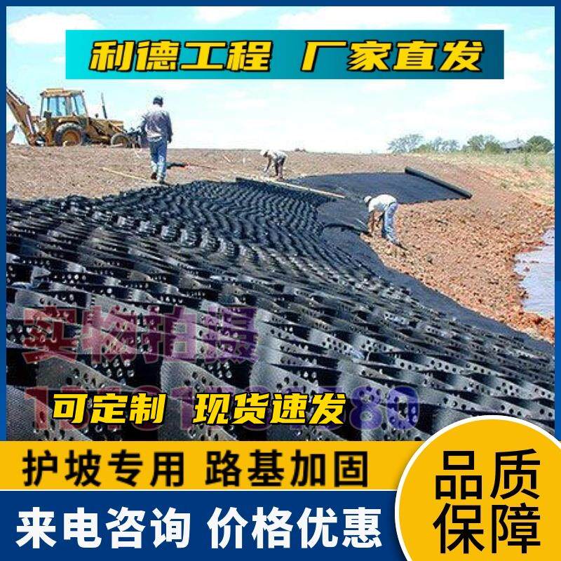 现货土工格室高强HDPE片材带排水孔G边坡河堤防护蜂窝网能土工格
