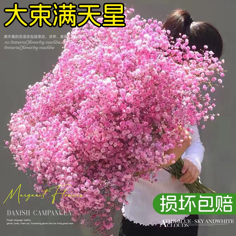 速发满天星干花花束新鲜生花摆件家居大束装饰插厅客花永真花