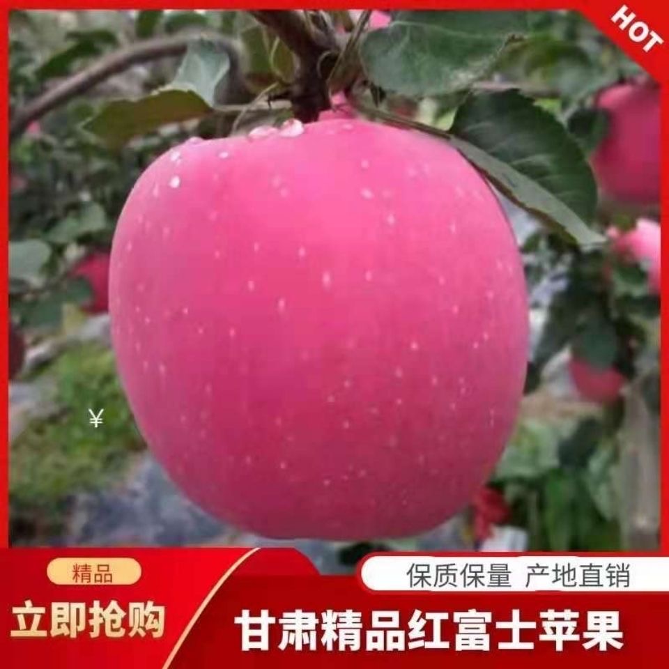 正宗甘肃静宁苹果现摘红富士脆甜新鲜水果一整箱特惠包邮孕婴爱吃