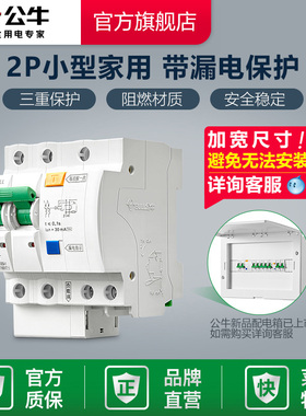 公牛2P小型断路漏电保护器断路器空气家用空开电闸开关25A32A63A