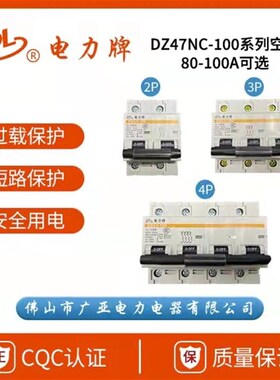 极速电力牌空气开关/DZ47r-63/1P/2P/3P/4P佛山广亚电力断路器家