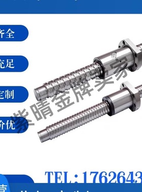 滚珠丝杠丝杆XSVR BSE BSS BSSC1505 1210 1510 1520 2010 2020