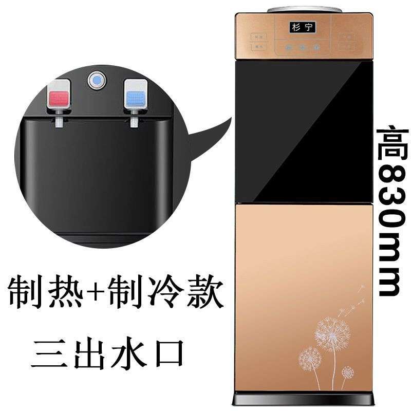 家用饮水机立式冷热小型台式冰温热节能办公室全自动桶装烧水新款