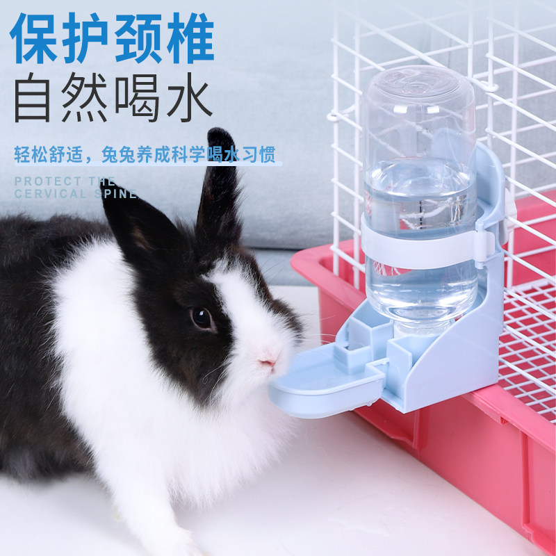 极速兔子饮水器 挂式宠物兔兔用品喂水J壶全套荷兰猪龙猫喝水碗大,宠物/宠物食品及用品,兔兔饮水器,淘宝优惠券,粉丝福利购,淘宝优惠卷