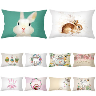极速Waist pillow case homve decoration sofa pillow case East