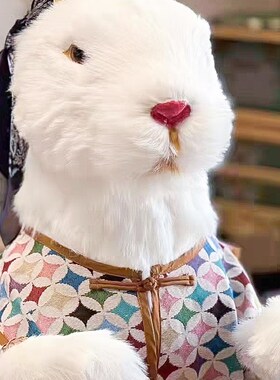 新品兔子小姐站立毛绒仿真动物A拍照道具影楼写真客厅橱窗陈列展