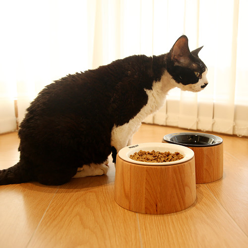 极速猫碗陶瓷猫食盆猫饭盆高脚bd飞碟碗韩国宠物碗V狗碗水碗木架